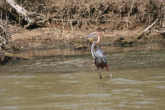img_3287