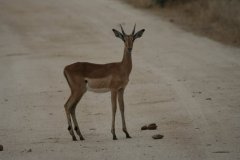 img_3927_001