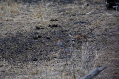 img_3934_1