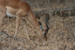 img_3936_001