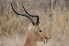 img_3941_001