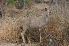 img_3959
