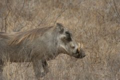 img_3973