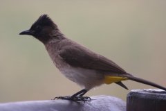 img_3984