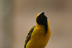 img_3992