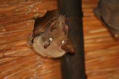 img_4005