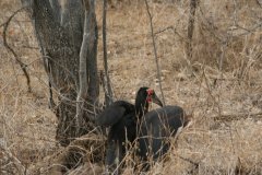 img_4009