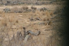 img_4020