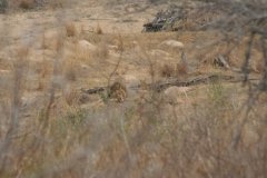 img_4026