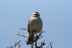 img_5996