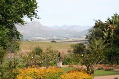 img_6017