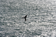 img_6327