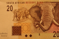 20-rand