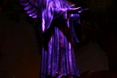 img_1263-copy