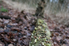 img1_2730