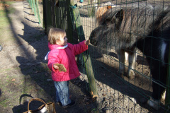 dscf2206