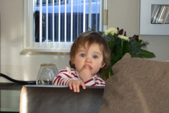 dscf2272
