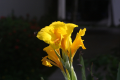 img_5583