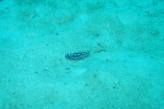 dscf2574