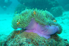 dscf2585