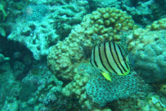 dscf2606