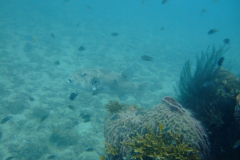 dscf2667