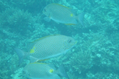 dscf2712