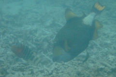 dscf2748