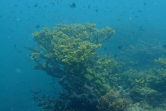 dscf2824