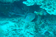 dscf3124