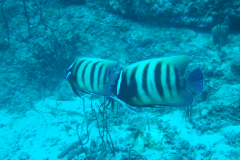 dscf3238