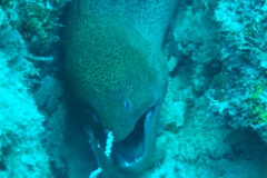 dscf3246