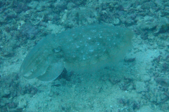 dscf3485