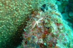 dscf3516