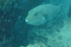 dscf3542