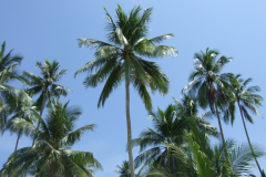 dscf3556