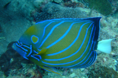 dscf3597
