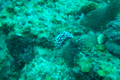 dscf3615