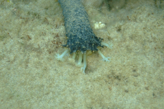 dscf3678