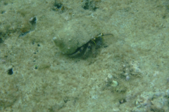 dscf3715
