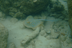 dscf3749