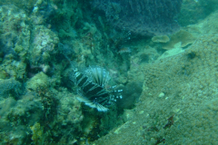 dscf3815