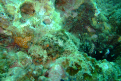 dscf3842