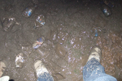 dscf4471
