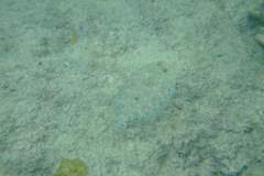 dscf4890_002