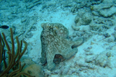 dscf5104_002
