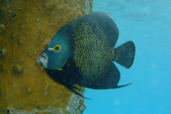 dscf5129_002
