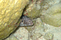 dscf5153_002