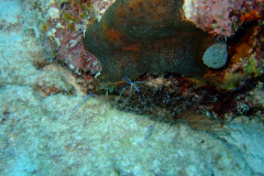 dscf5192_001