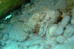 dscf5372